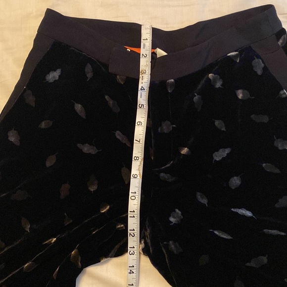 STUNNING & RARE Velvet Anthropologie Pants - Picture 11 of 13